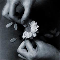  بچه های با حال